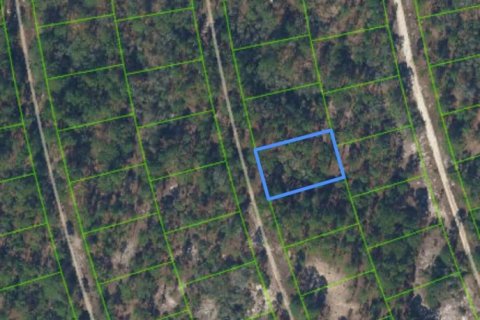 Immobilier commercial à Lake Placid, Floride № 2397982