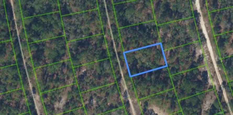 Immobilier commercial à Lake Placid, Floride № 2397982