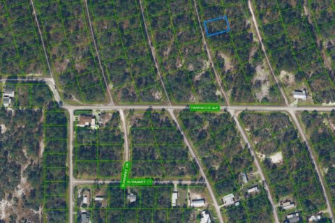 Immobilier commercial à vendre à Lake Placid, Floride № 2397982 - photo 2