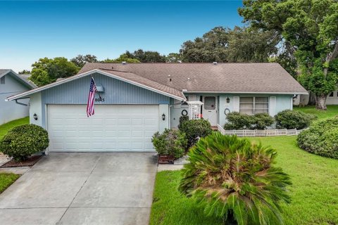 Villa ou maison à Port Richey, Floride 2 chambres, 132.11 m2 № 2329331