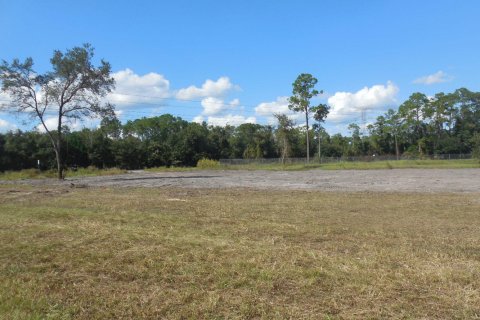 Propiedad comercial en venta en Palatka, Florida № 765382 - foto 1
