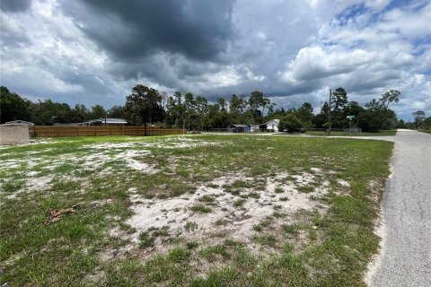 Terrain à vendre à Paisley, Floride № 1798093 - photo 3