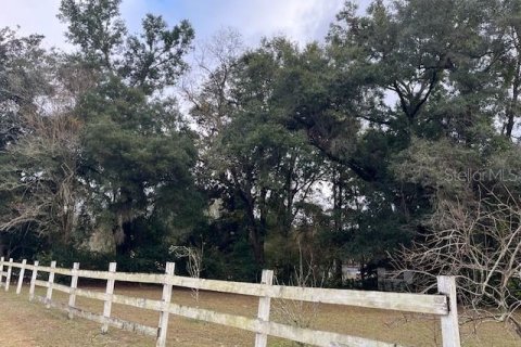 Commercial property in Alachua, Florida 19 bedrooms, 714.05 sq.m. № 2097974 - photo 5