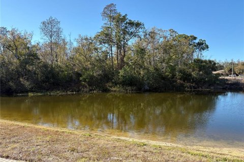 House in Oldsmar, Florida 3 bedrooms, 129.32 sq.m. № 2235305 - photo 19