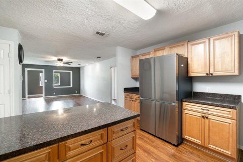 Casa en venta en Tavares, Florida, 3 dormitorios, 191.01 m2 № 1877150 - foto 12