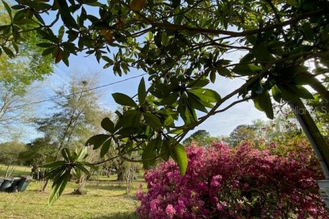 Terreno en venta en Alachua, Florida № 1909402 - foto 11