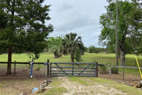 Terreno en venta en Alachua, Florida № 1909402 - foto 3