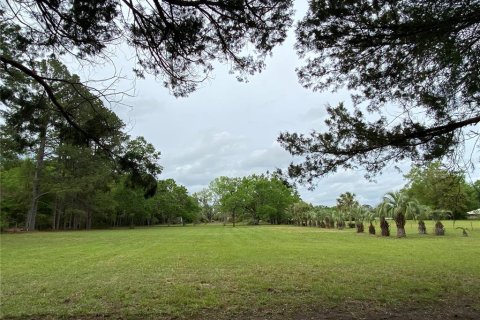 Terreno en venta en Alachua, Florida № 1909402 - foto 8