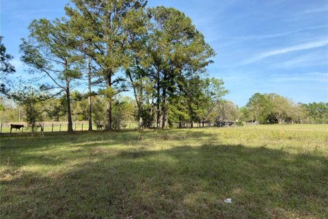 Terreno en venta en Alachua, Florida № 1909402 - foto 16