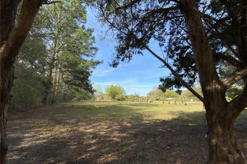 Terreno en venta en Alachua, Florida № 1909402 - foto 13