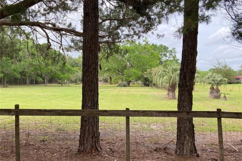 Terreno en venta en Alachua, Florida № 1909402 - foto 9
