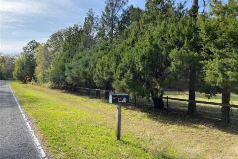 Terreno en venta en Alachua, Florida № 1909402 - foto 5