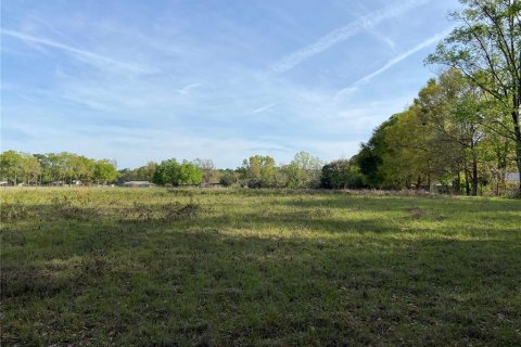 Terreno en venta en Alachua, Florida № 1909402 - foto 17