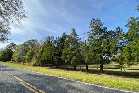 Terreno en venta en Alachua, Florida № 1909402 - foto 7