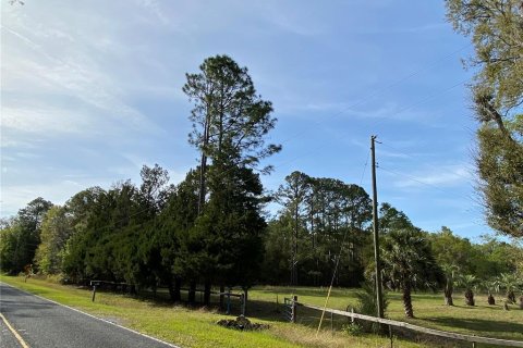 Terreno en venta en Alachua, Florida № 1909402 - foto 6