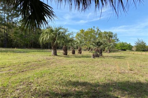 Terreno en venta en Alachua, Florida № 1909402 - foto 4
