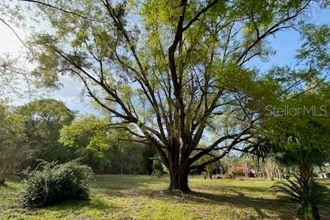 Terreno en venta en Alachua, Florida № 1909402 - foto 10