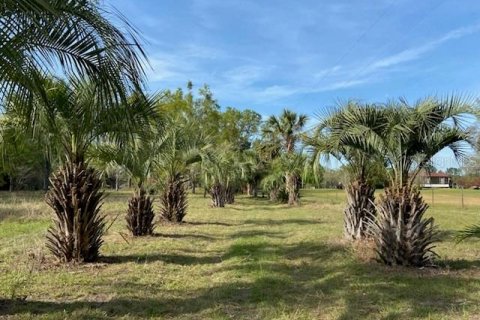 Terreno en venta en Alachua, Florida № 1909402 - foto 1