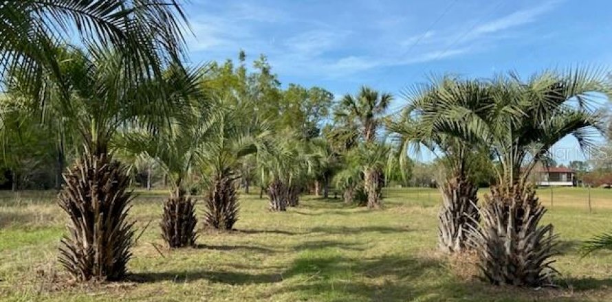 Terreno en Alachua, Florida № 1909402