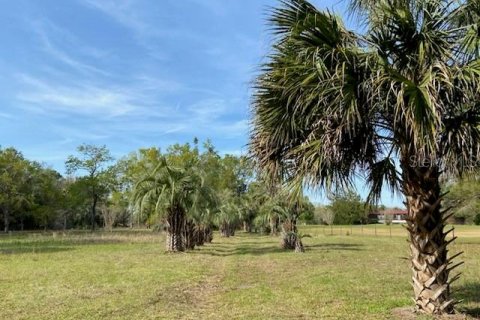 Terreno en venta en Alachua, Florida № 1909402 - foto 2