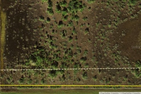 Land in Punta Gorda, Florida № 1909165 - photo 4