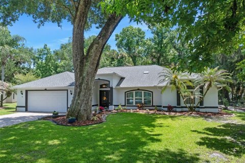 Villa ou maison à vendre à Ormond Beach, Floride: 5 chambres, 260.22 m2 № 2151856 - photo 3