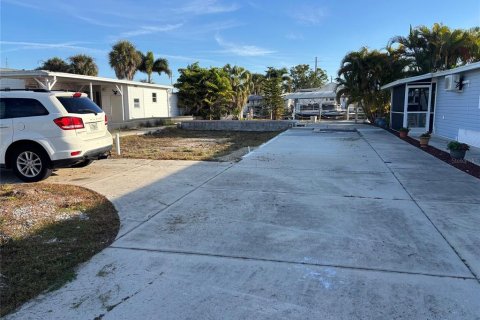 Land in Punta Gorda, Florida № 2161597 - photo 3
