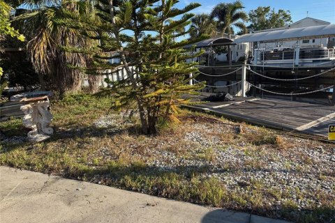 Land in Punta Gorda, Florida № 2161597 - photo 4