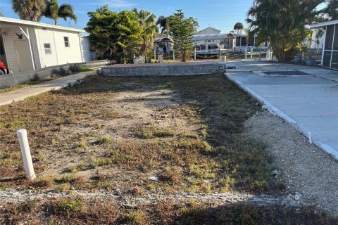 Land in Punta Gorda, Florida № 2161597 - photo 2