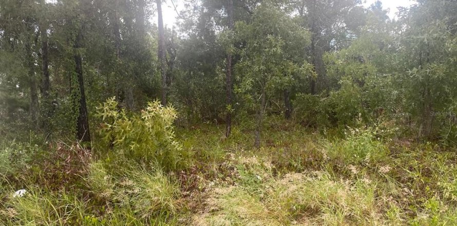 Terrain à Spring Hill, Floride № 2377763