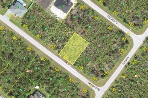 Land in Port Charlotte, Florida № 2258331 - photo 3