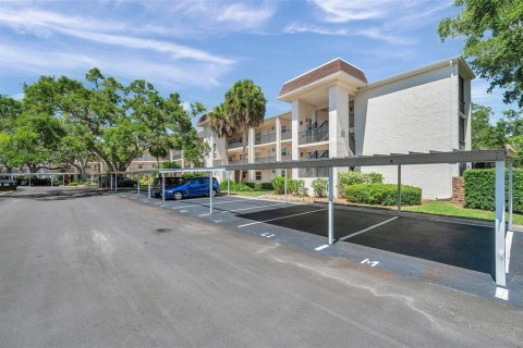 Condo in Dunedin, Florida, 2 bedrooms  № 1853108 - photo 2