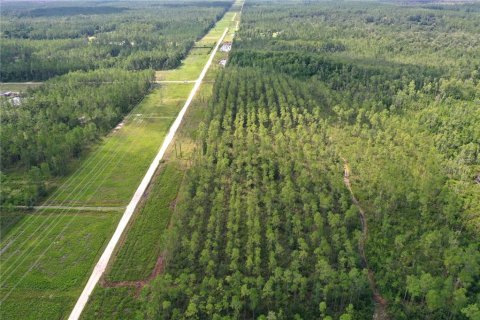 Land in Fort MC Coy, Florida № 1886692 - photo 4