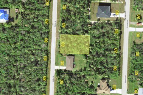 Land in Port Charlotte, Florida № 2161767