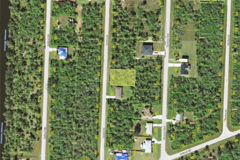 Land in Port Charlotte, Florida № 2161767 - photo 2