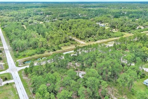 Land in Lehigh Acres, Florida № 2165406 - photo 14