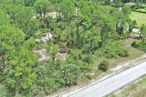 Land in Lehigh Acres, Florida № 2165406 - photo 5