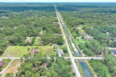 Land in Lehigh Acres, Florida № 2165406 - photo 13