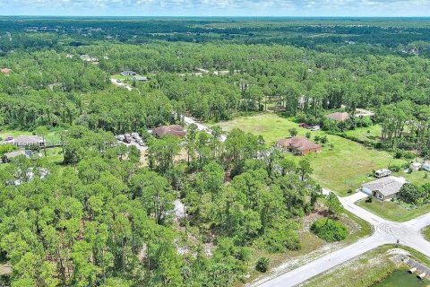 Land in Lehigh Acres, Florida № 2165406 - photo 6