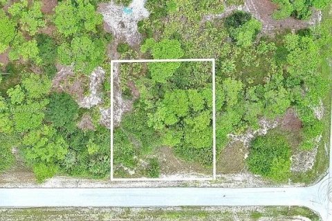 Land in Lehigh Acres, Florida № 2165406 - photo 2