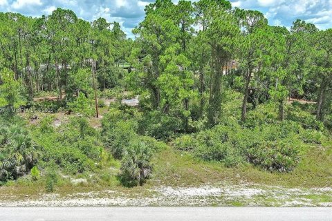 Land in Lehigh Acres, Florida № 2165406