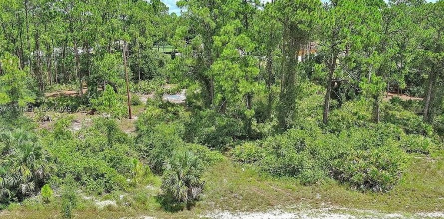 Land in Lehigh Acres, Florida № 2165406