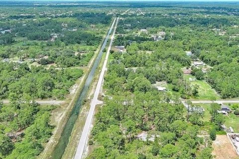 Land in Lehigh Acres, Florida № 2165406 - photo 11
