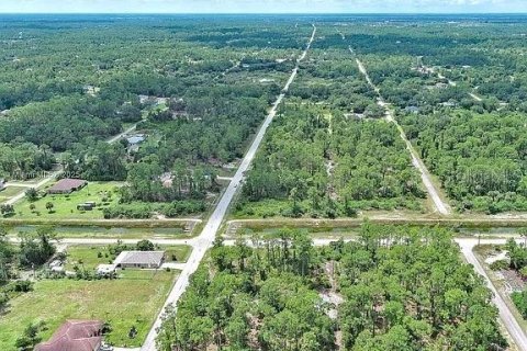 Land in Lehigh Acres, Florida № 2165406 - photo 12