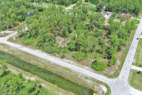 Land in Lehigh Acres, Florida № 2165406 - photo 9