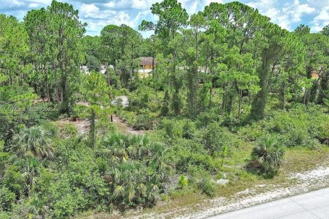 Land in Lehigh Acres, Florida № 2165406 - photo 3