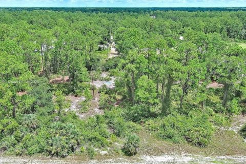 Land in Lehigh Acres, Florida № 2165406 - photo 4
