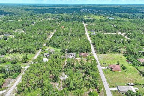 Land in Lehigh Acres, Florida № 2165406 - photo 10