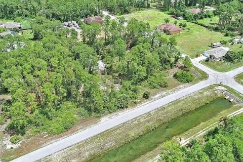 Land in Lehigh Acres, Florida № 2165406 - photo 7