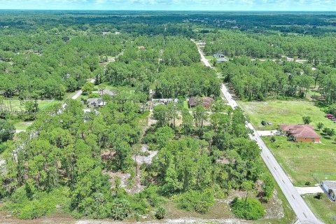 Land in Lehigh Acres, Florida № 2165406 - photo 8